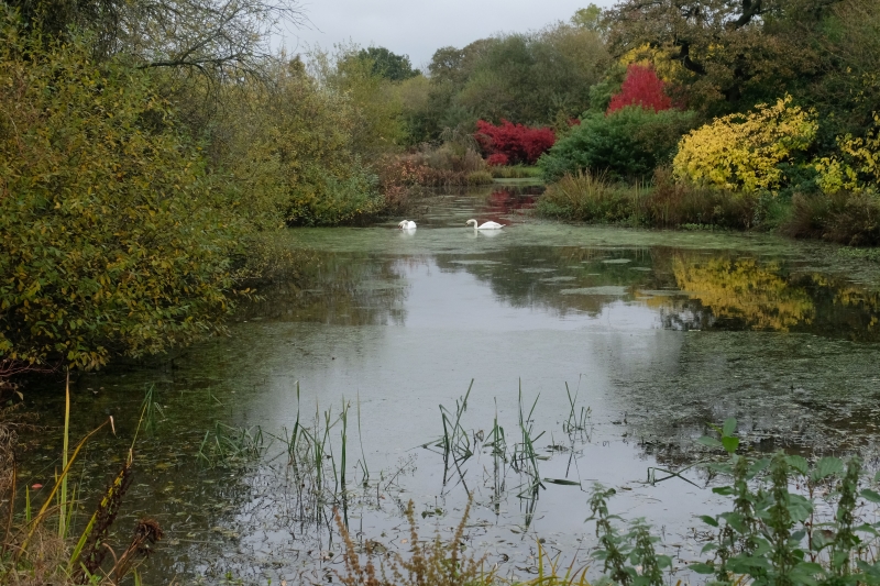 Cherry Tree Arboretum